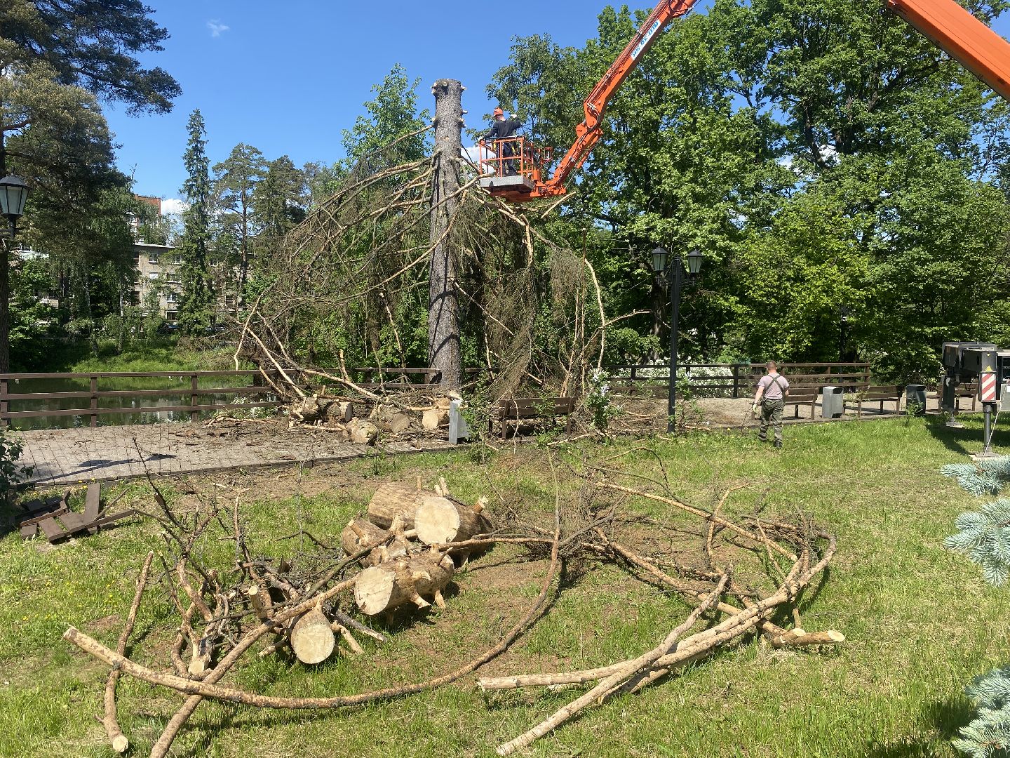 благоустройство власиха, жук короед-типограф, пляжная зона Власихи, пляж во Власихе, безопасное лето, безопасный отдых,