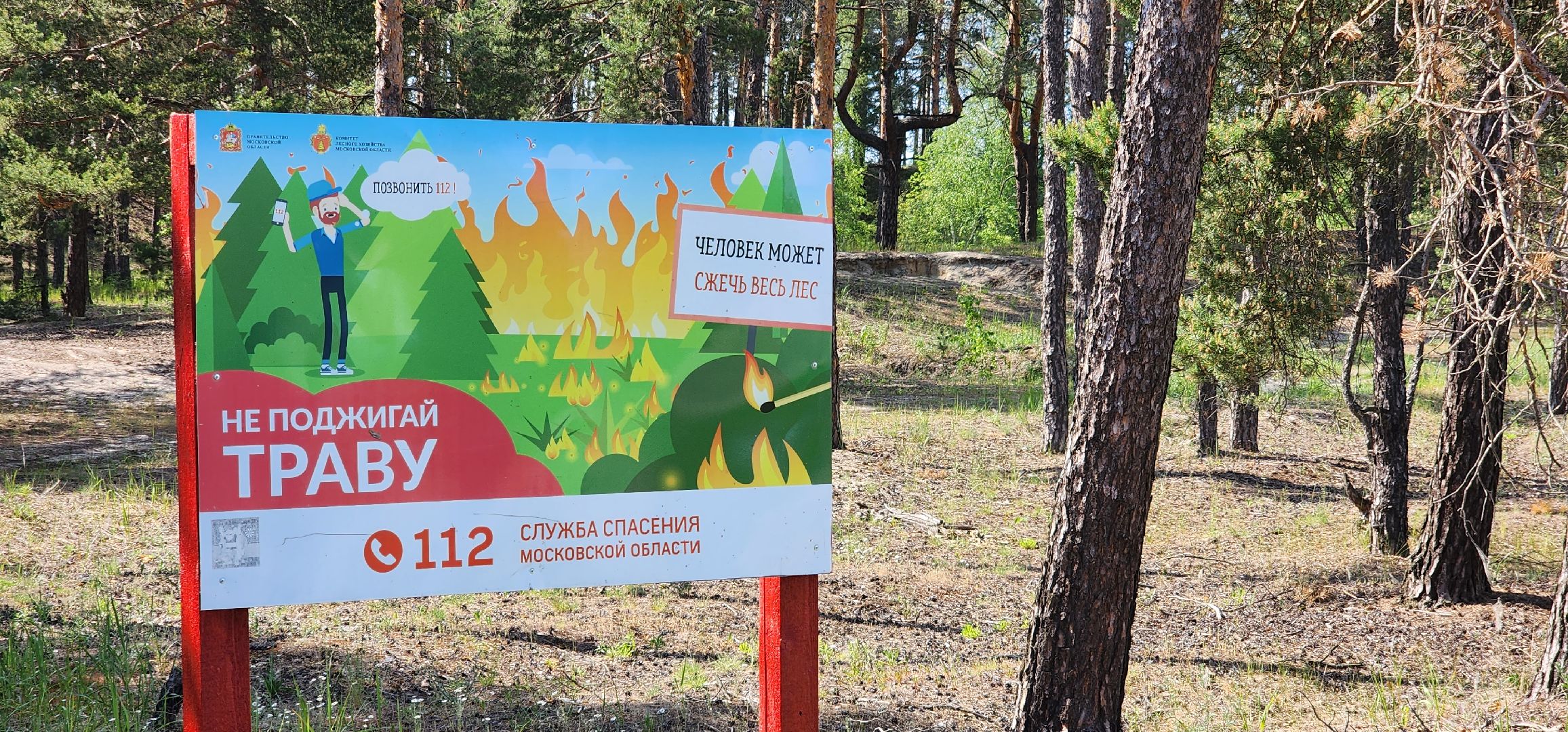 луховицы, пляжный сезон,