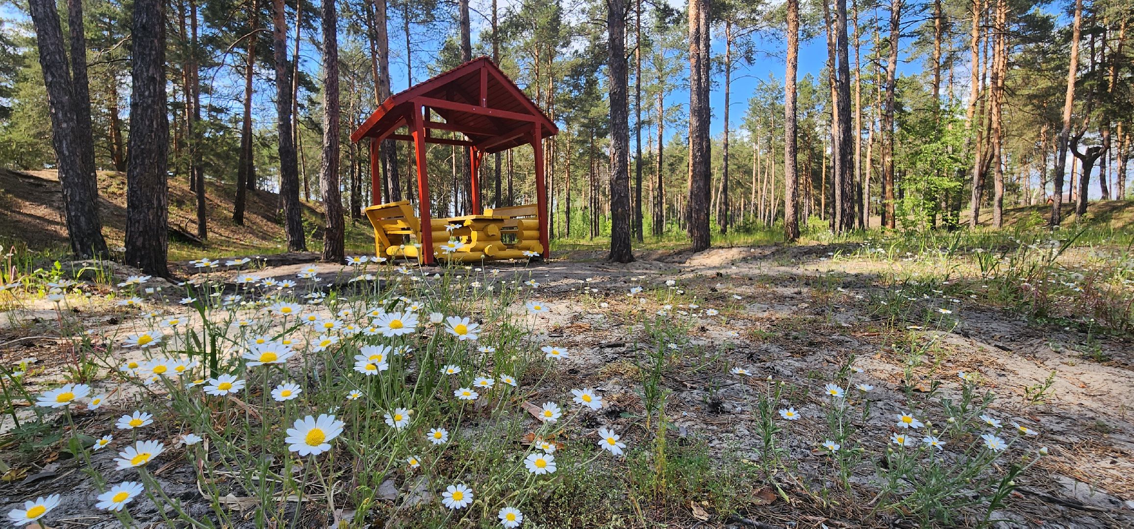 луховицы, пляжный сезон,