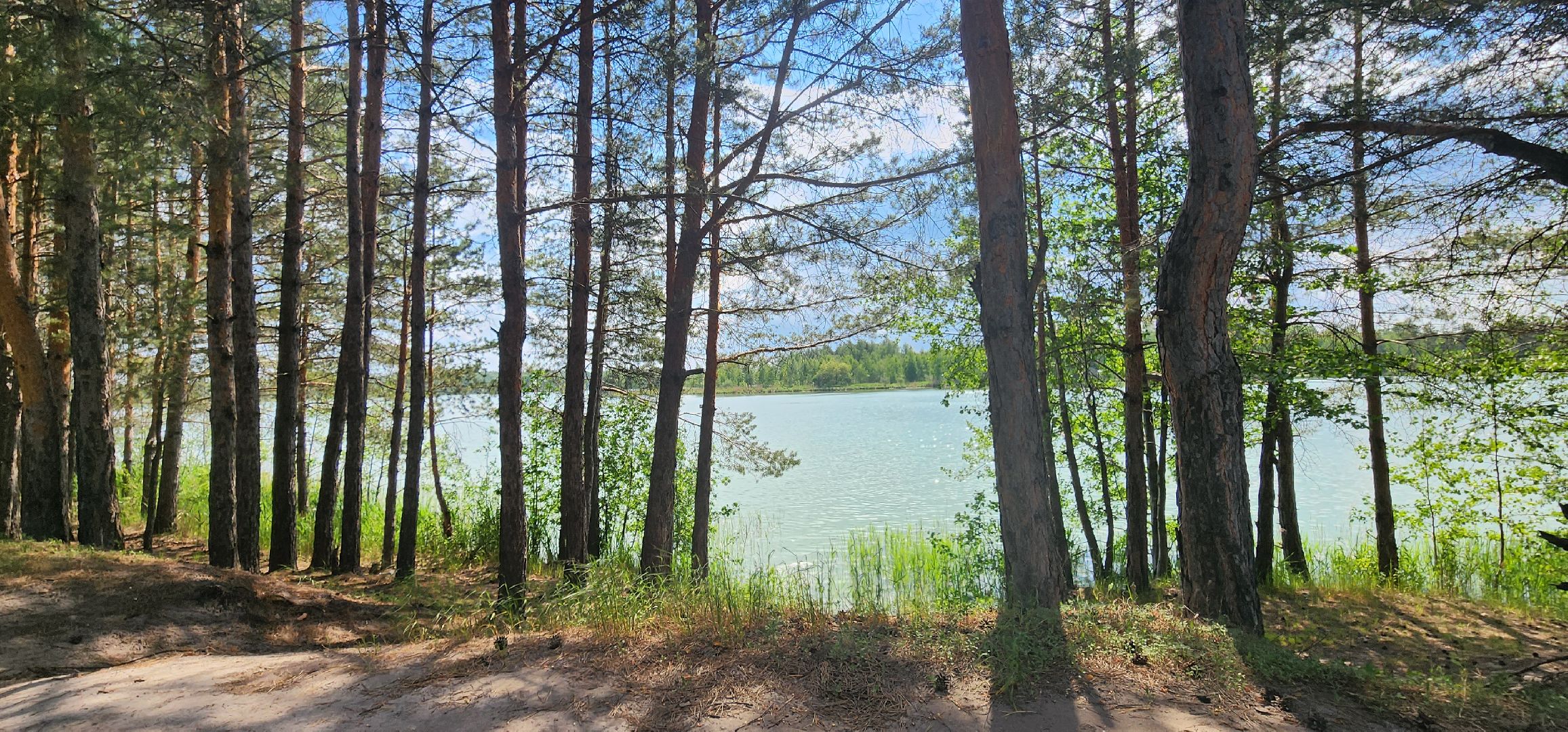 луховицы, пляжный сезон,