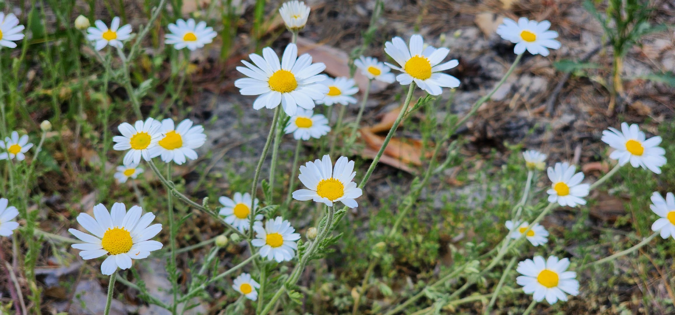 луховицы, пляжный сезон,