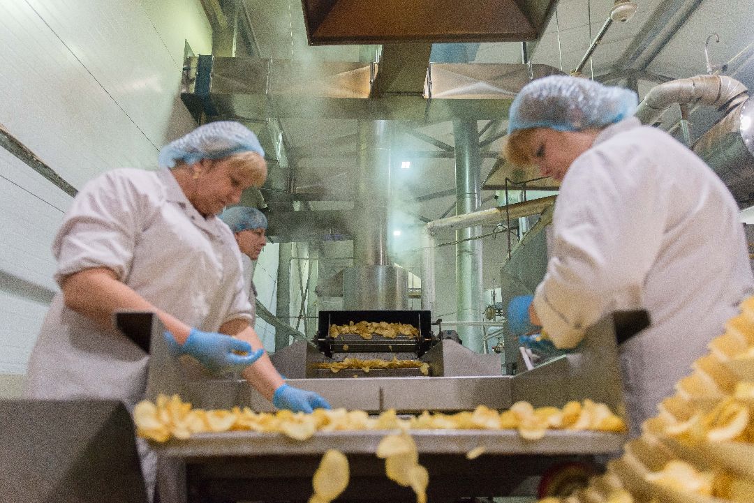 Коломенский район, сельское хозяйство, картофель, чипсы