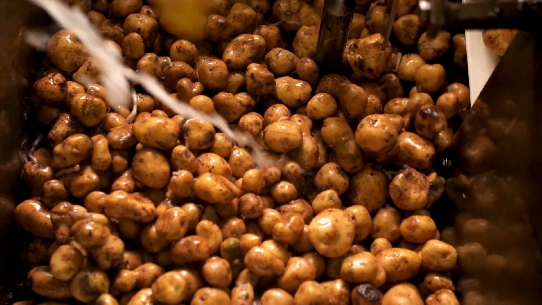 Коломенский район, сельское хозяйство, картофель, чипсы