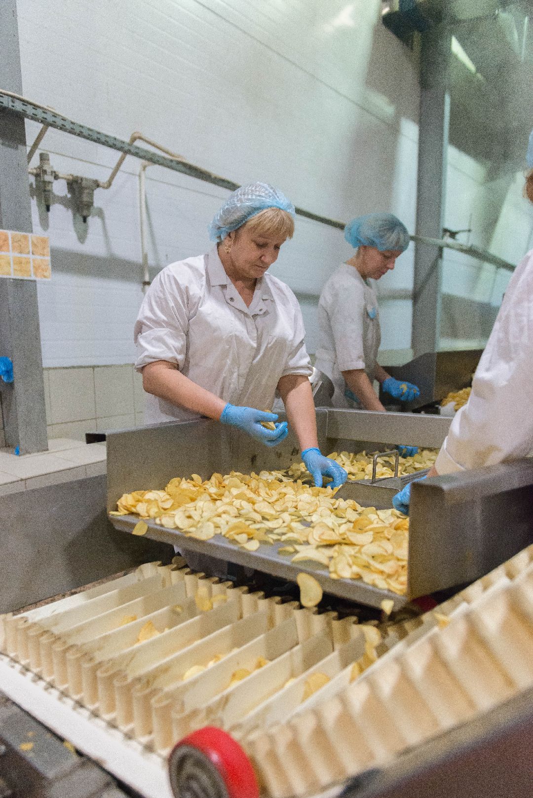 Коломенский район, сельское хозяйство, картофель, чипсы