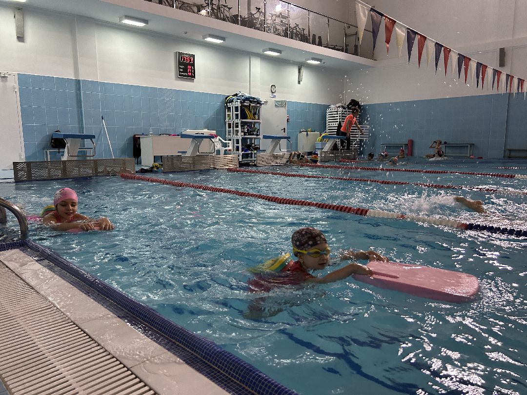 Фрязино, спорт