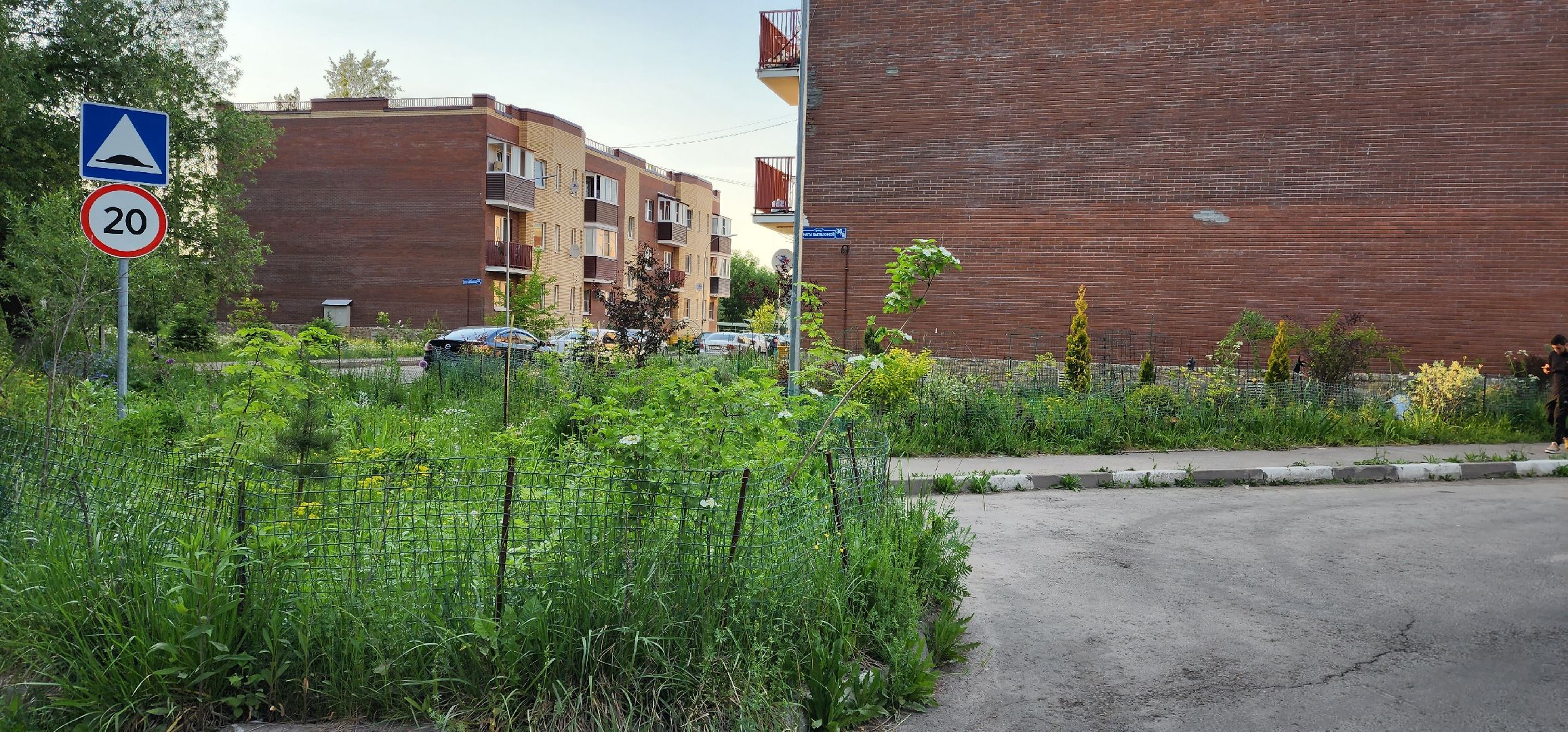 раменское, общество, выездная администрация, территориальное управление ильинское, поселок ильинский,