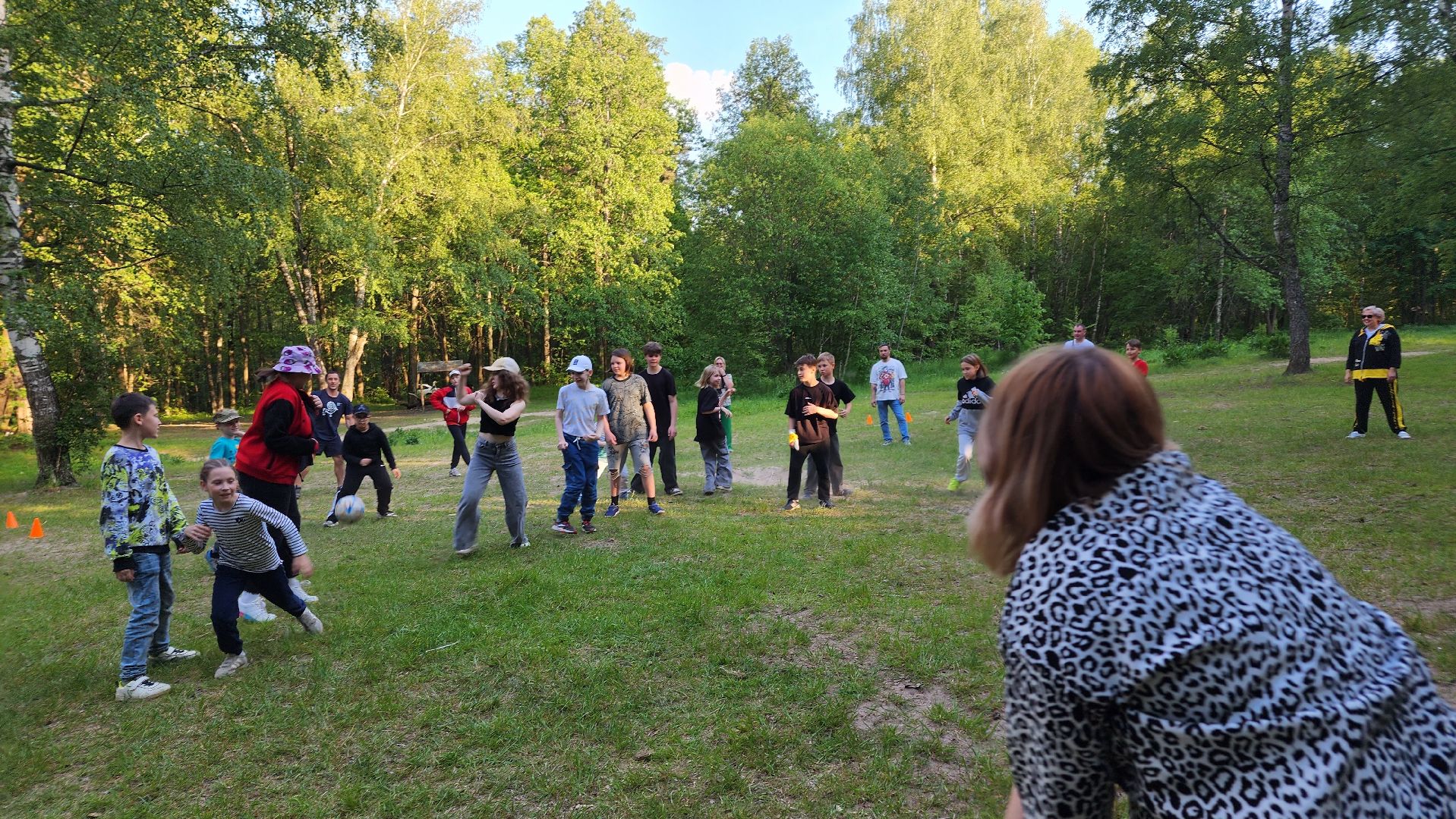 супино, образование подмосковья, каникулы,