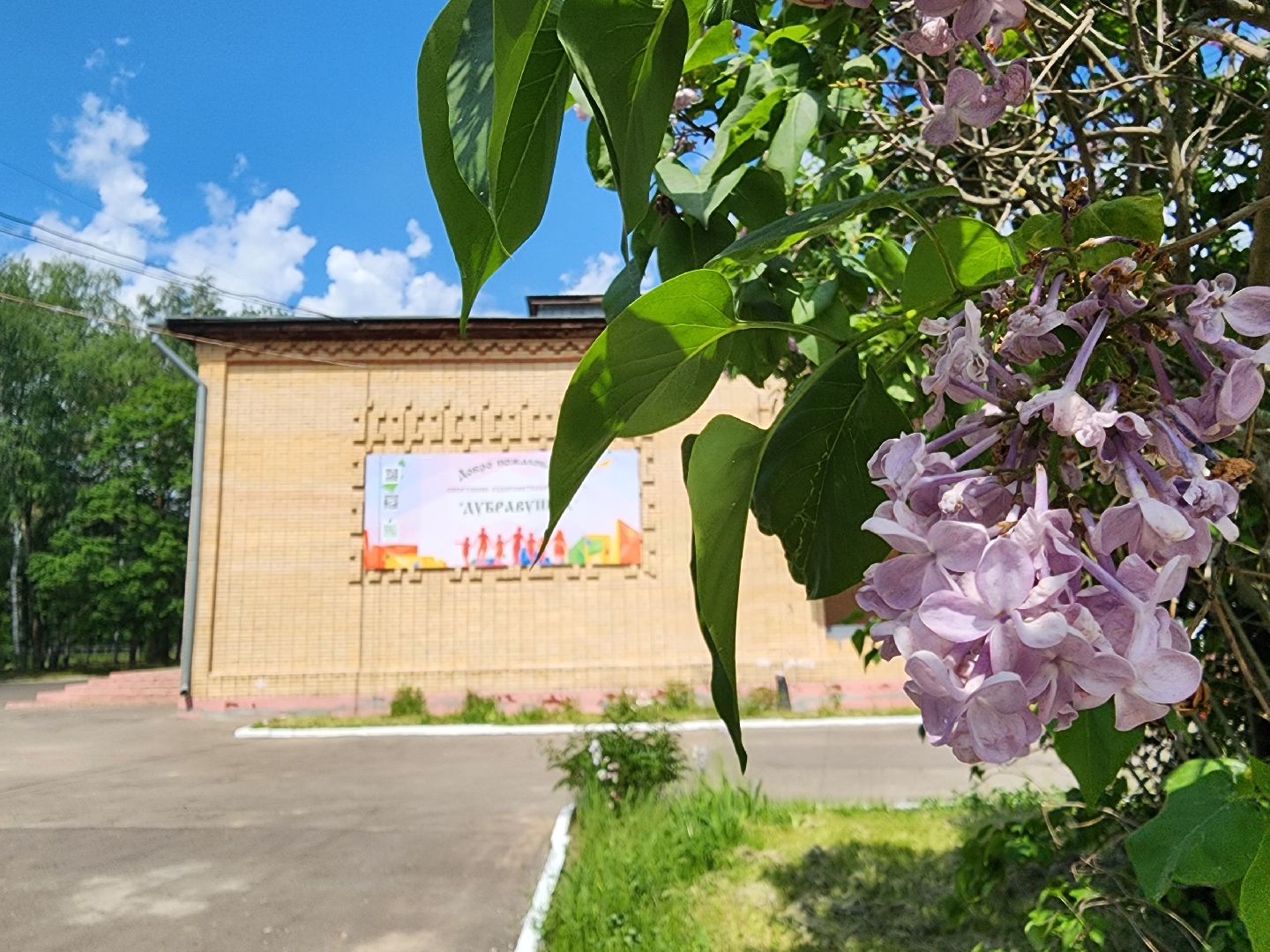 воскресенск, лагерь, детский отдых, дети,