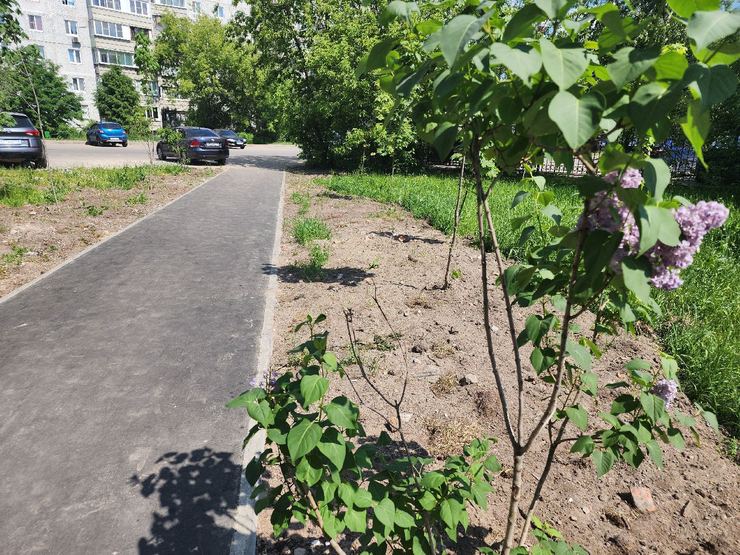 пешком, орехово-зуевский округ, благоустройство 2024, народные тропы,