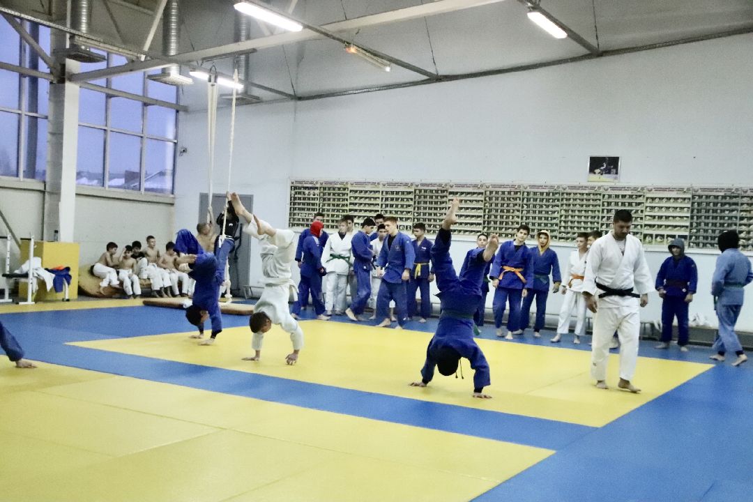 Фрязино, спорт