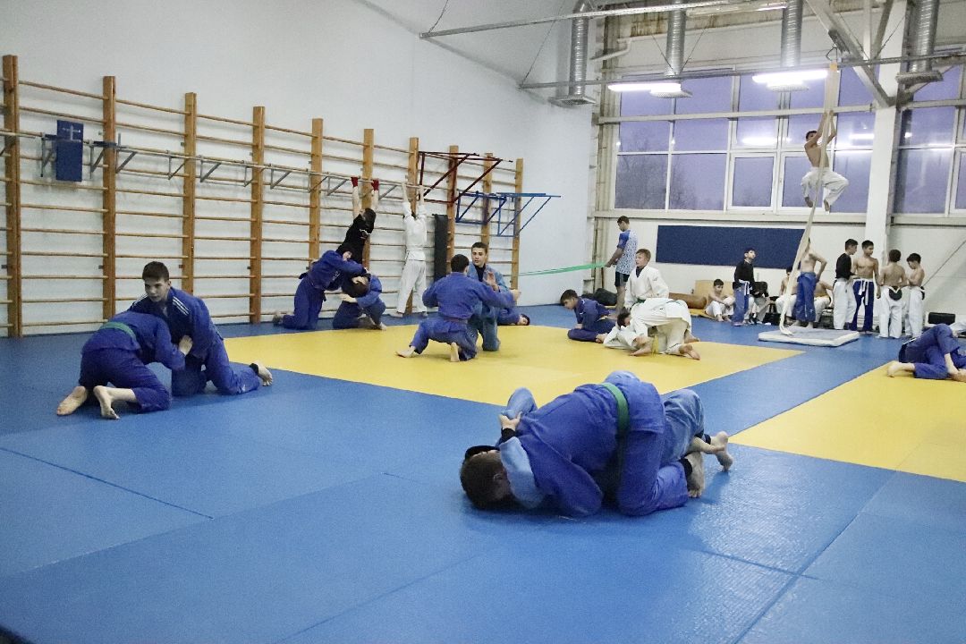 Фрязино, спорт