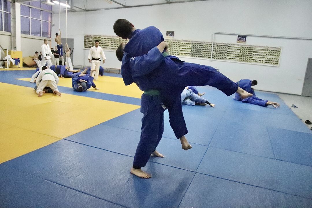 Фрязино, спорт