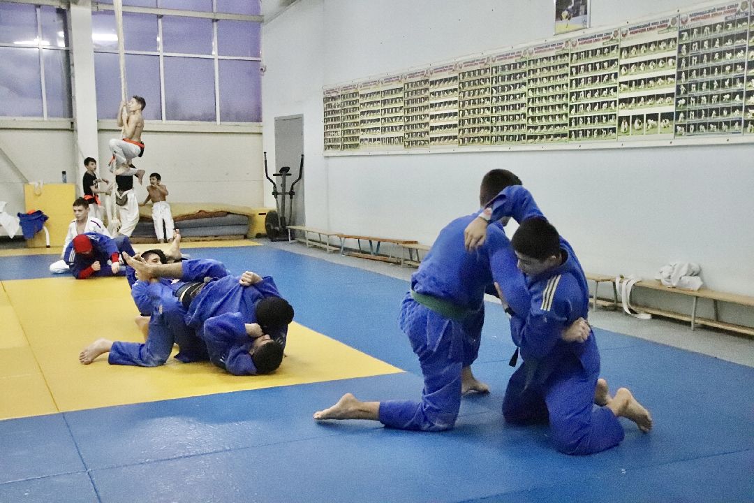 Фрязино, спорт