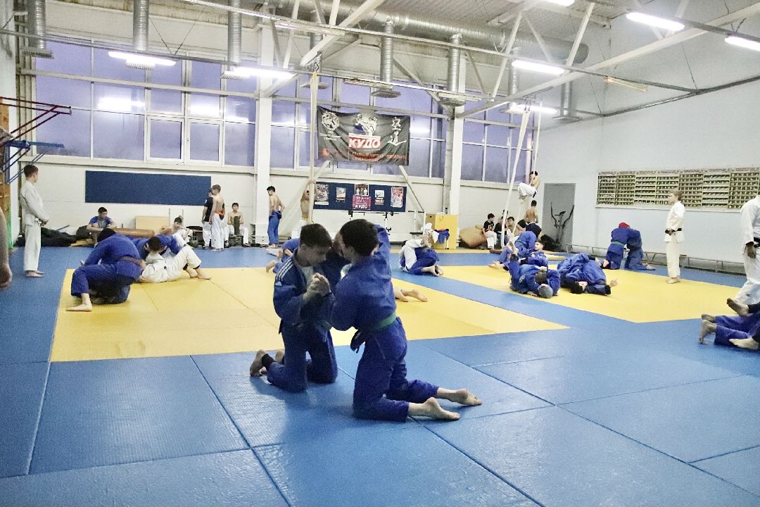 Фрязино, спорт