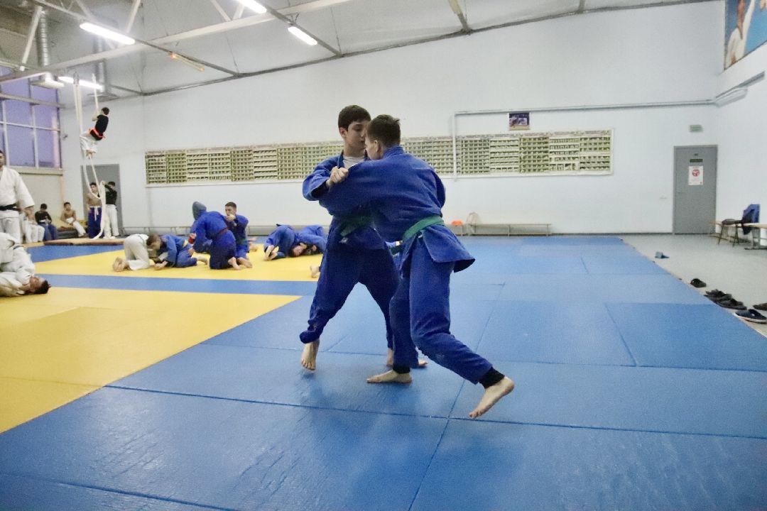 Фрязино, спорт