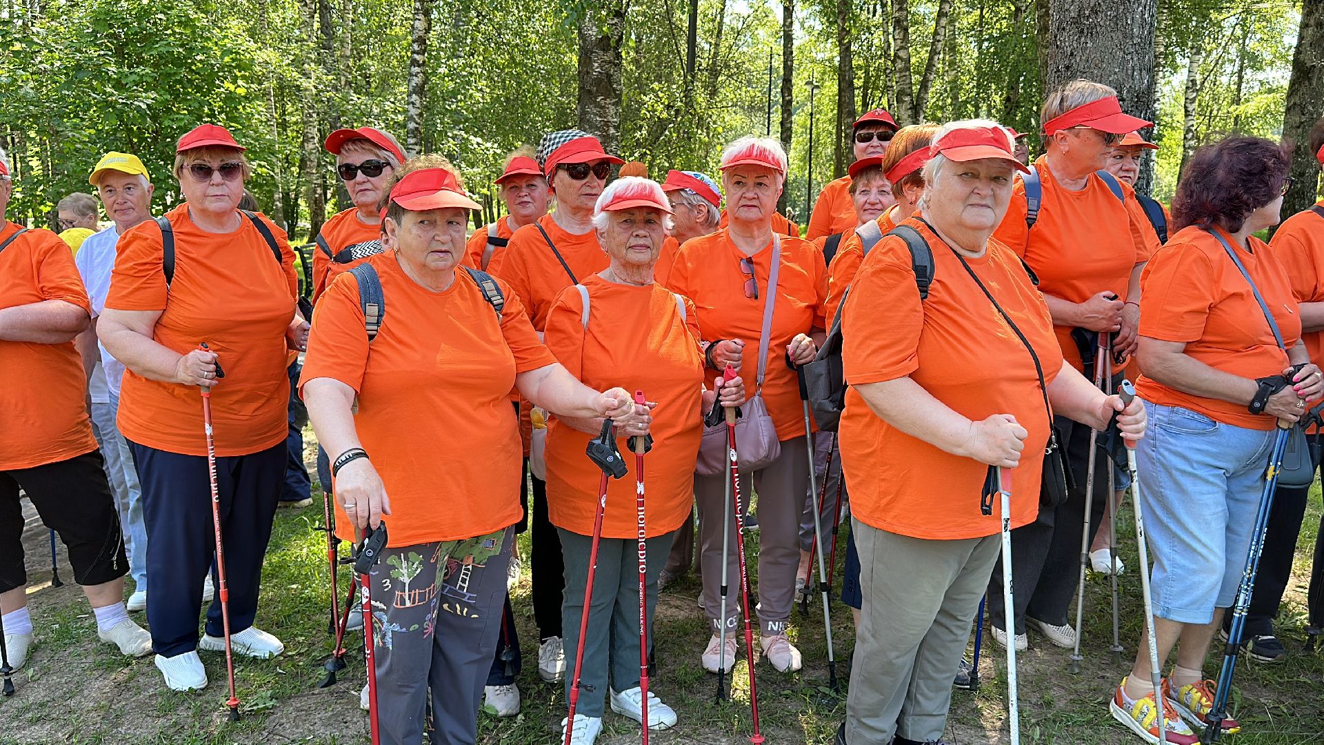 Клин, общество, спорт, активное долголетие, Подмосковье, северная ходьба,