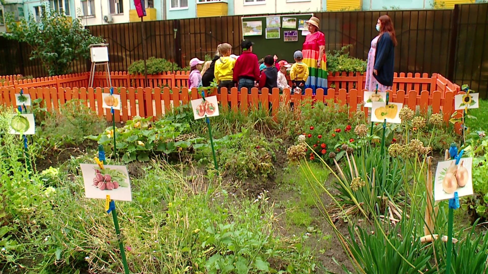 Реутов, образование, детский сад, летний режим, объединение групп,