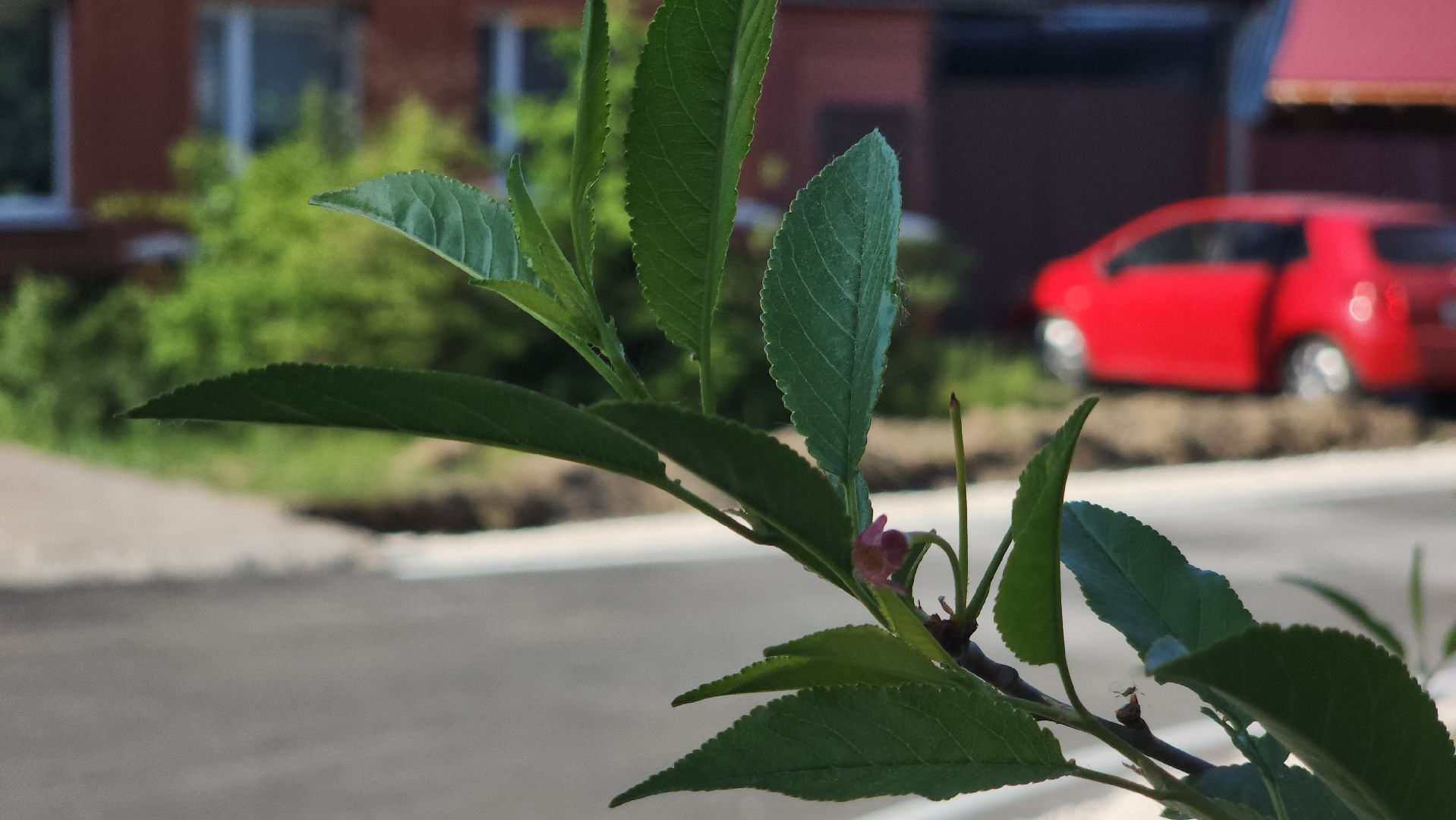 Павловский Посад, городской округ павловский посад, строительство, дороги, ремонт, жители, транспорт,