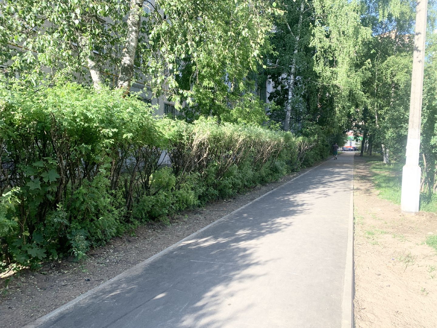 Балашиха, Подмосковье, Дороги, Благоустройство пешеходных дорожек, Формирование современной комфортной городской среды, пешеходные коммуникации,