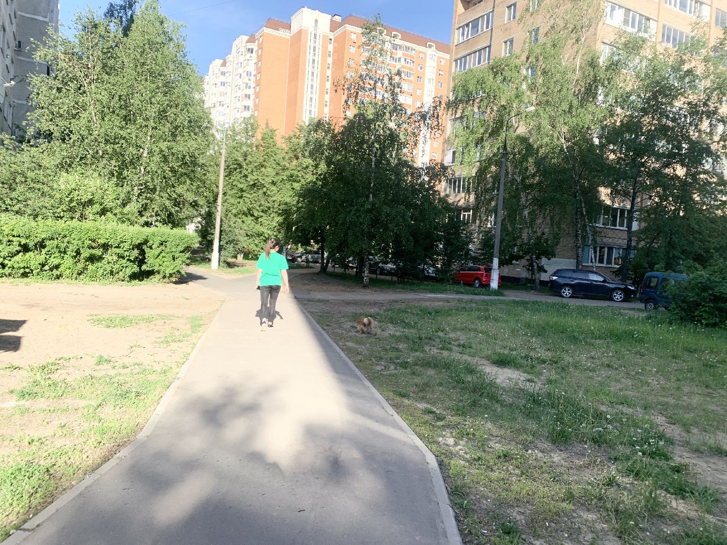 Балашиха, Подмосковье, Дороги, Благоустройство пешеходных дорожек, Формирование современной комфортной городской среды, пешеходные коммуникации,