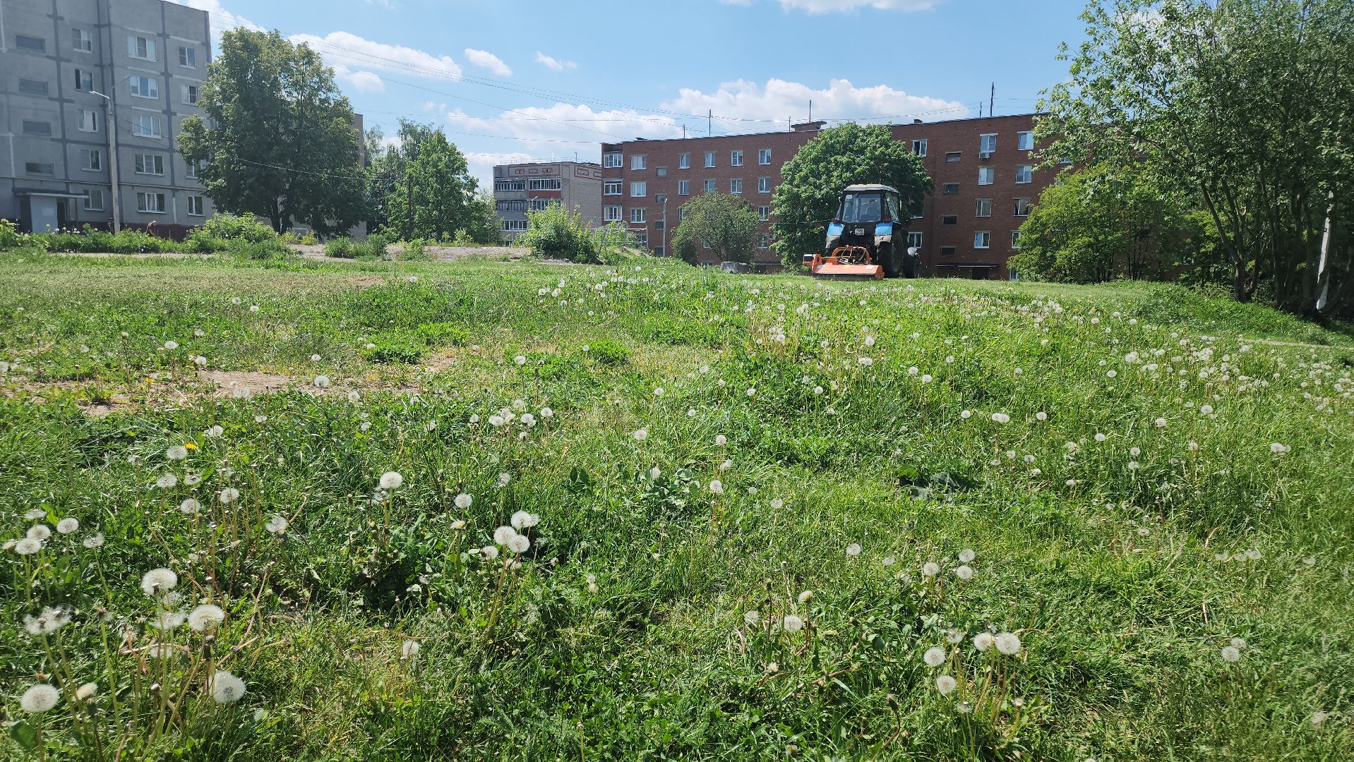 кашира, мбу благоустройство, покос травы, стрижка газонов, полив деревьев, трактор беларус, лес победы, клумбы,