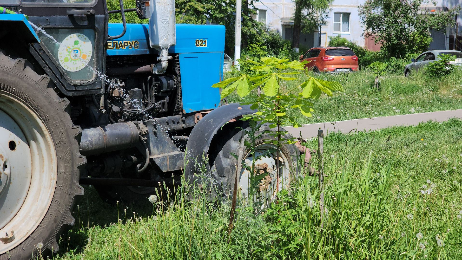 кашира, мбу благоустройство, покос травы, стрижка газонов, полив деревьев, трактор беларус, лес победы, клумбы,