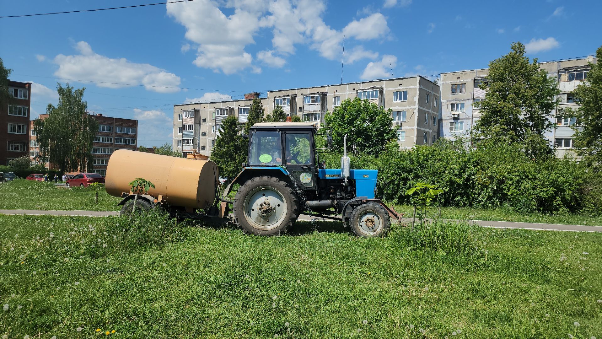 кашира, мбу благоустройство, покос травы, стрижка газонов, полив деревьев, трактор беларус, лес победы, клумбы,