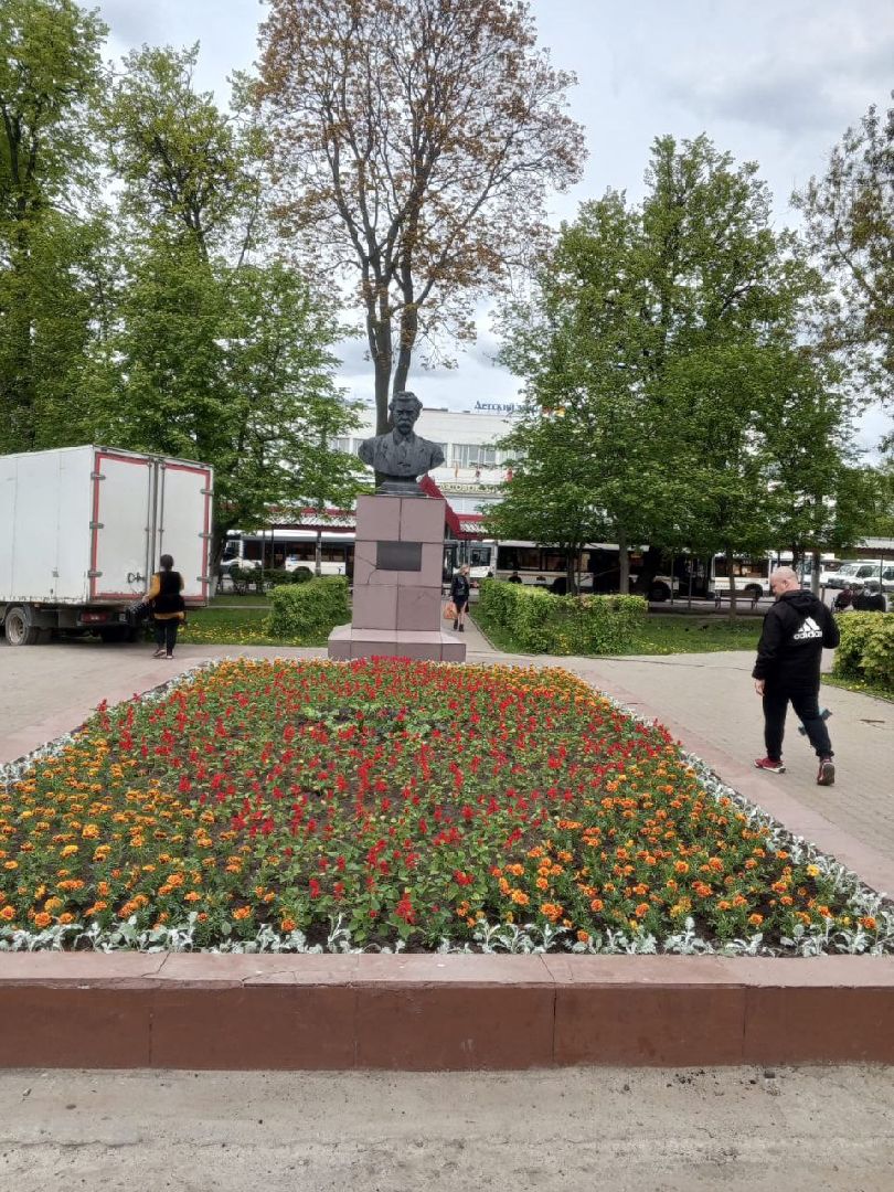 ногинск, благоустройство, цветы, высадка цветов, благосфера, жители, общество,