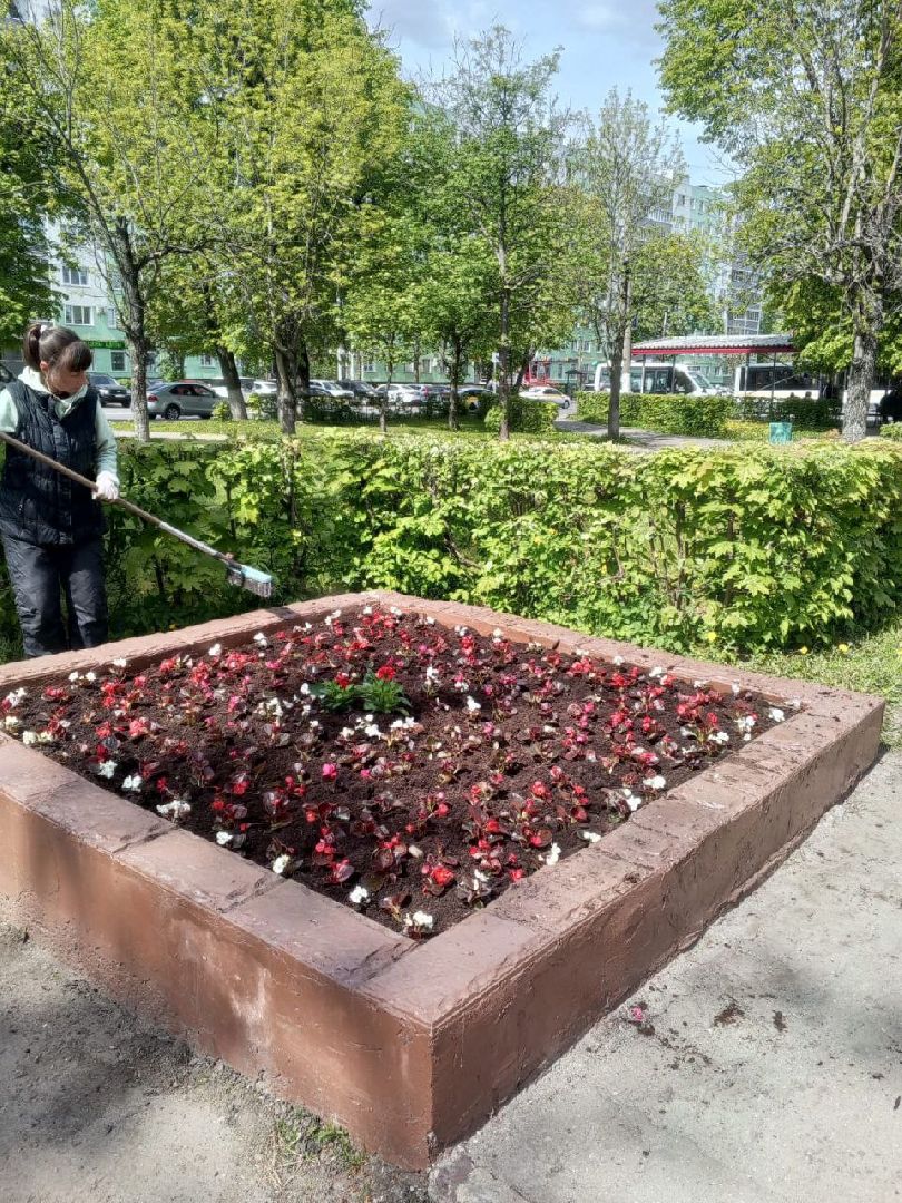 ногинск, благоустройство, цветы, высадка цветов, благосфера, жители, общество,