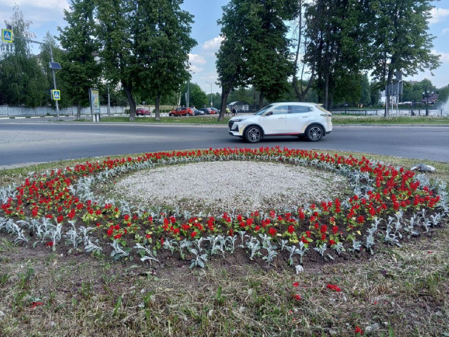 ногинск, благоустройство, цветы, высадка цветов, благосфера, жители, общество,