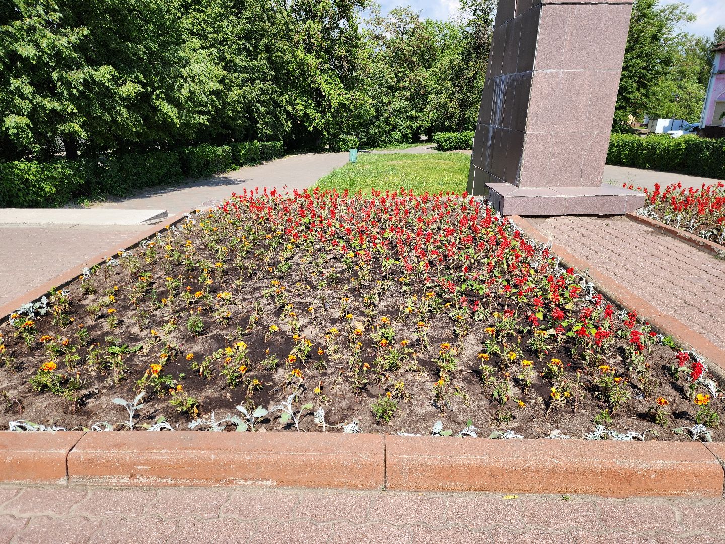 ногинск, благоустройство, цветы, высадка цветов, благосфера, жители, общество,