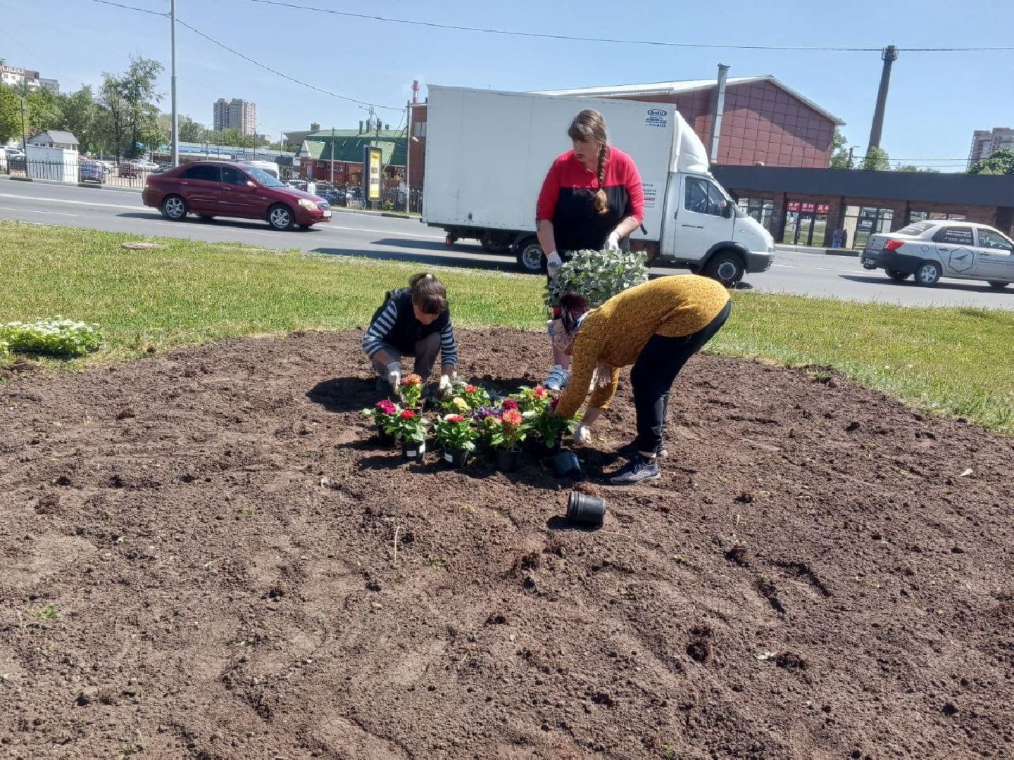 ногинск, благоустройство, цветы, высадка цветов, благосфера, жители, общество,