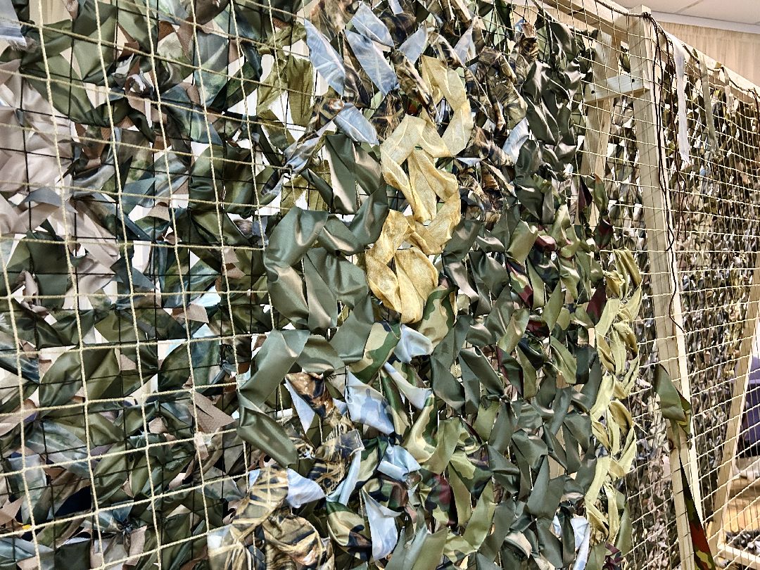 Фрязино, волонтеры