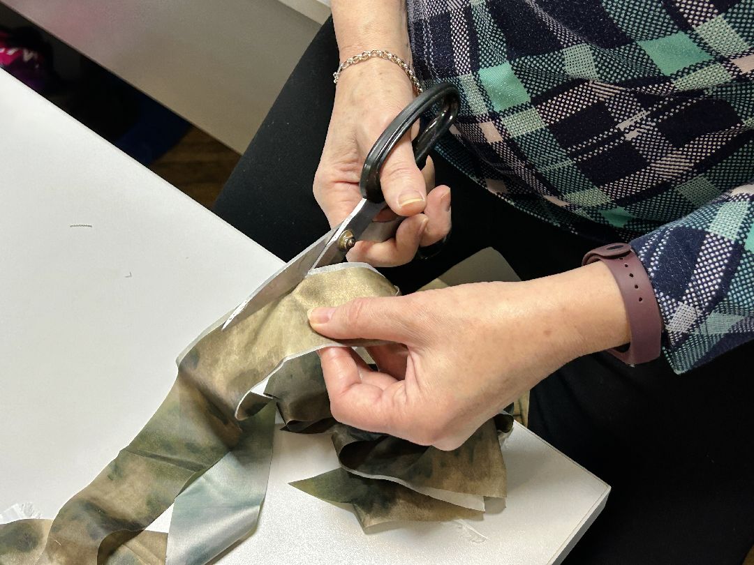 Фрязино, волонтеры