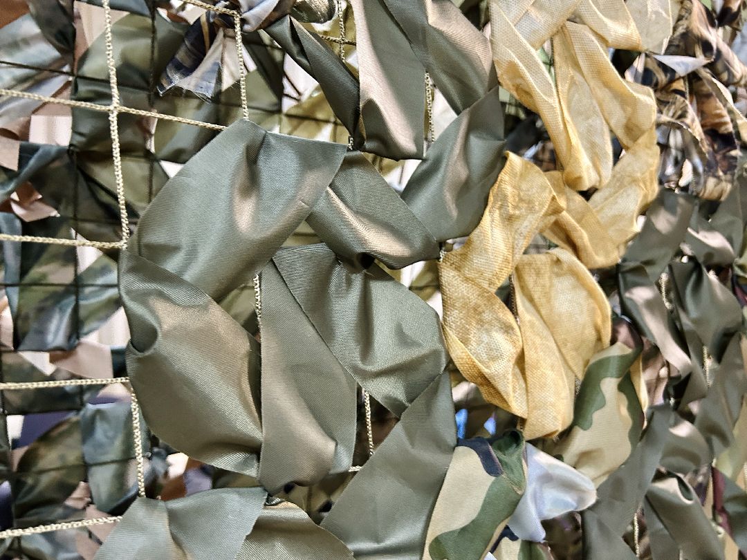 Фрязино, волонтеры