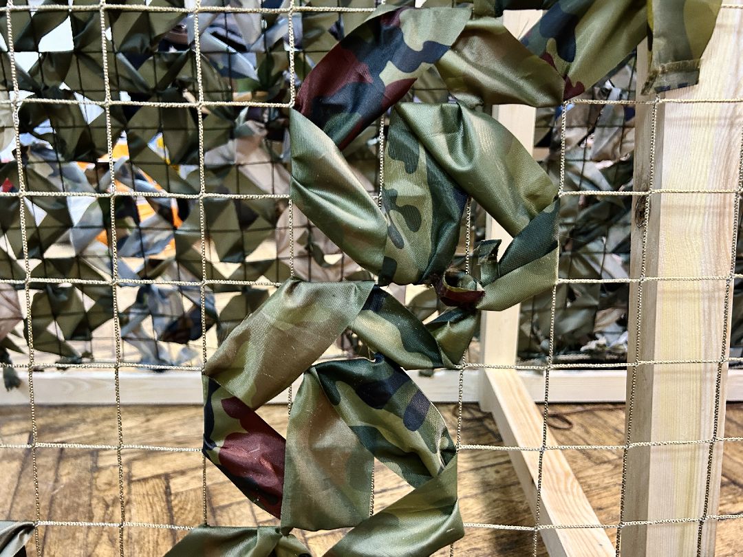 Фрязино, волонтеры