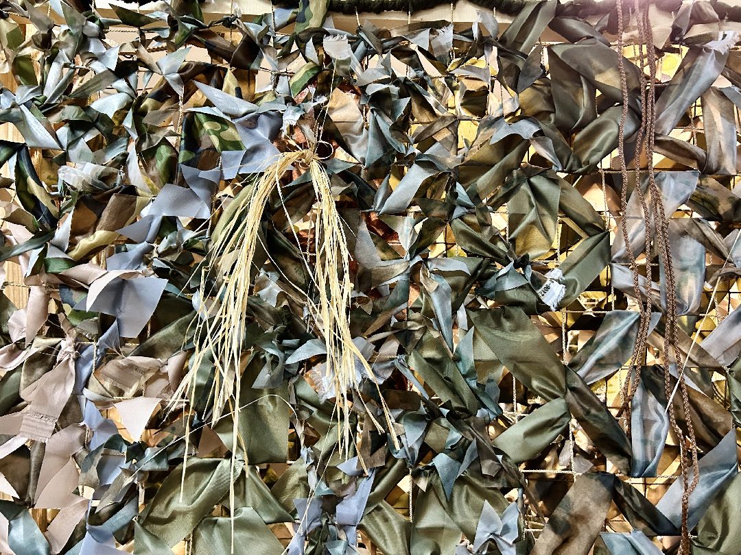 Фрязино, волонтеры