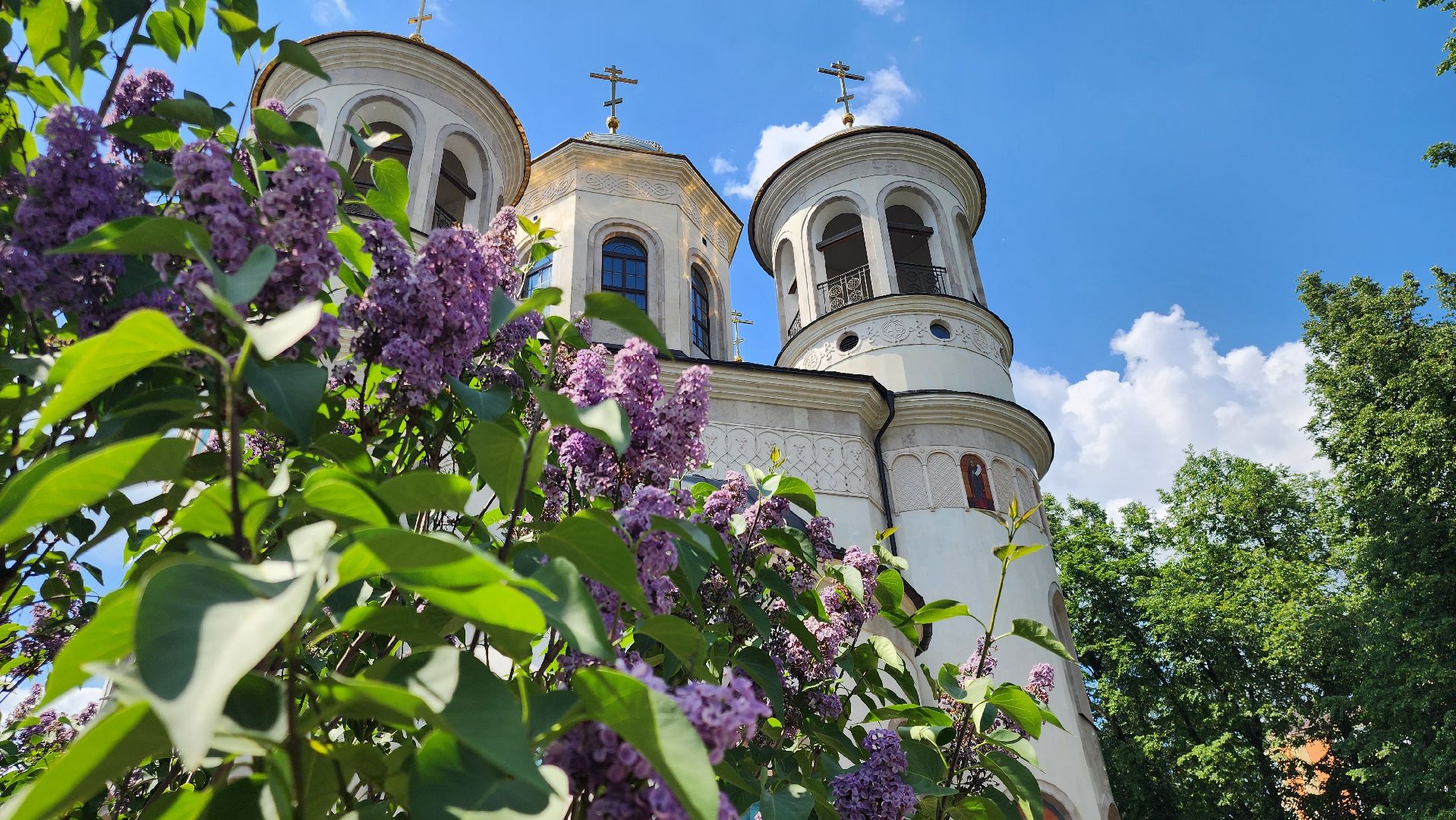 Звенигород, туризм в подмосковье, Места для фотосессий,