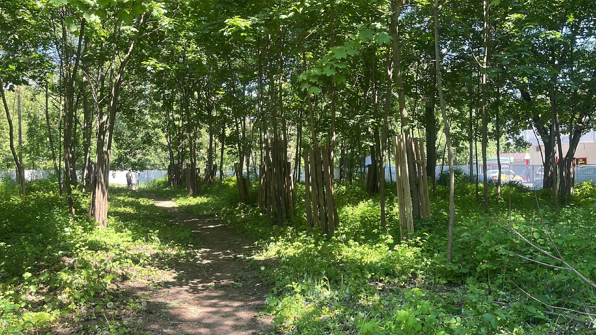 благоустройство, сквер, реконструкция,