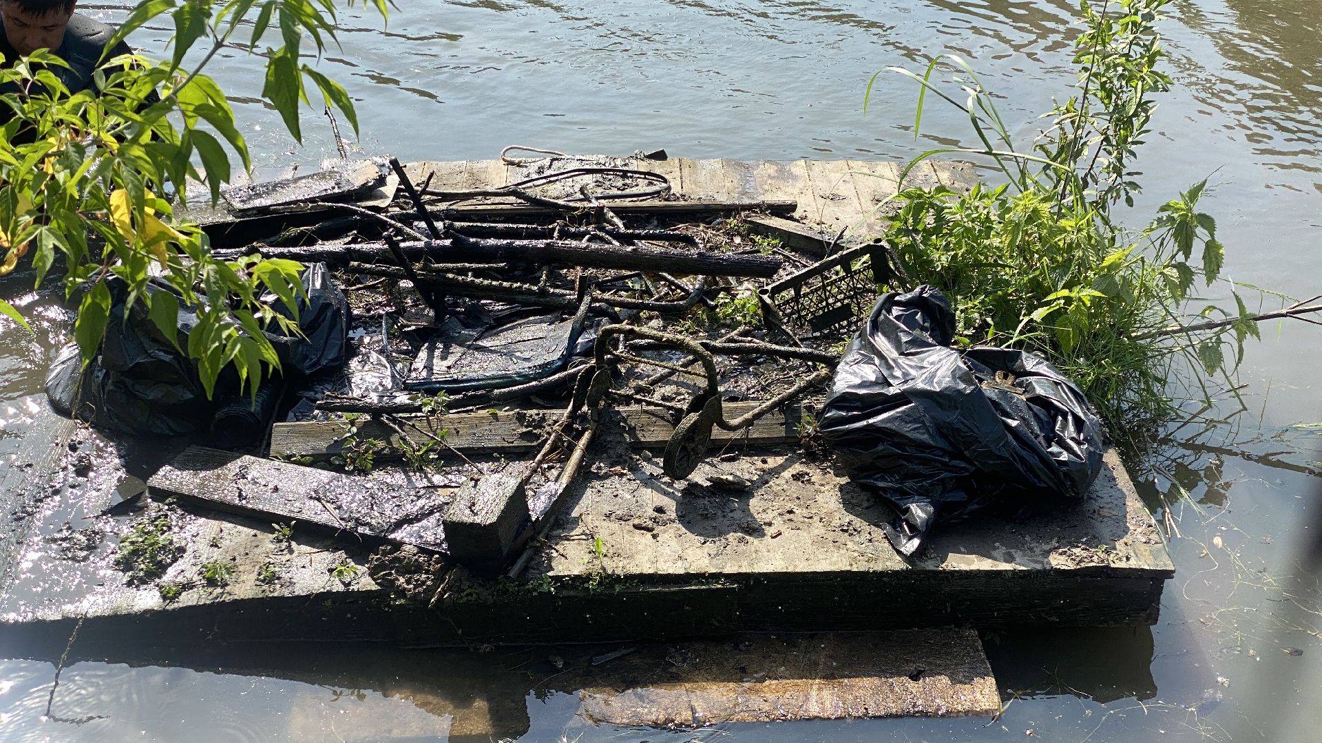 Тарычевский пруд, благоустройство, ленинский городской округ, экология, территория отдыха,