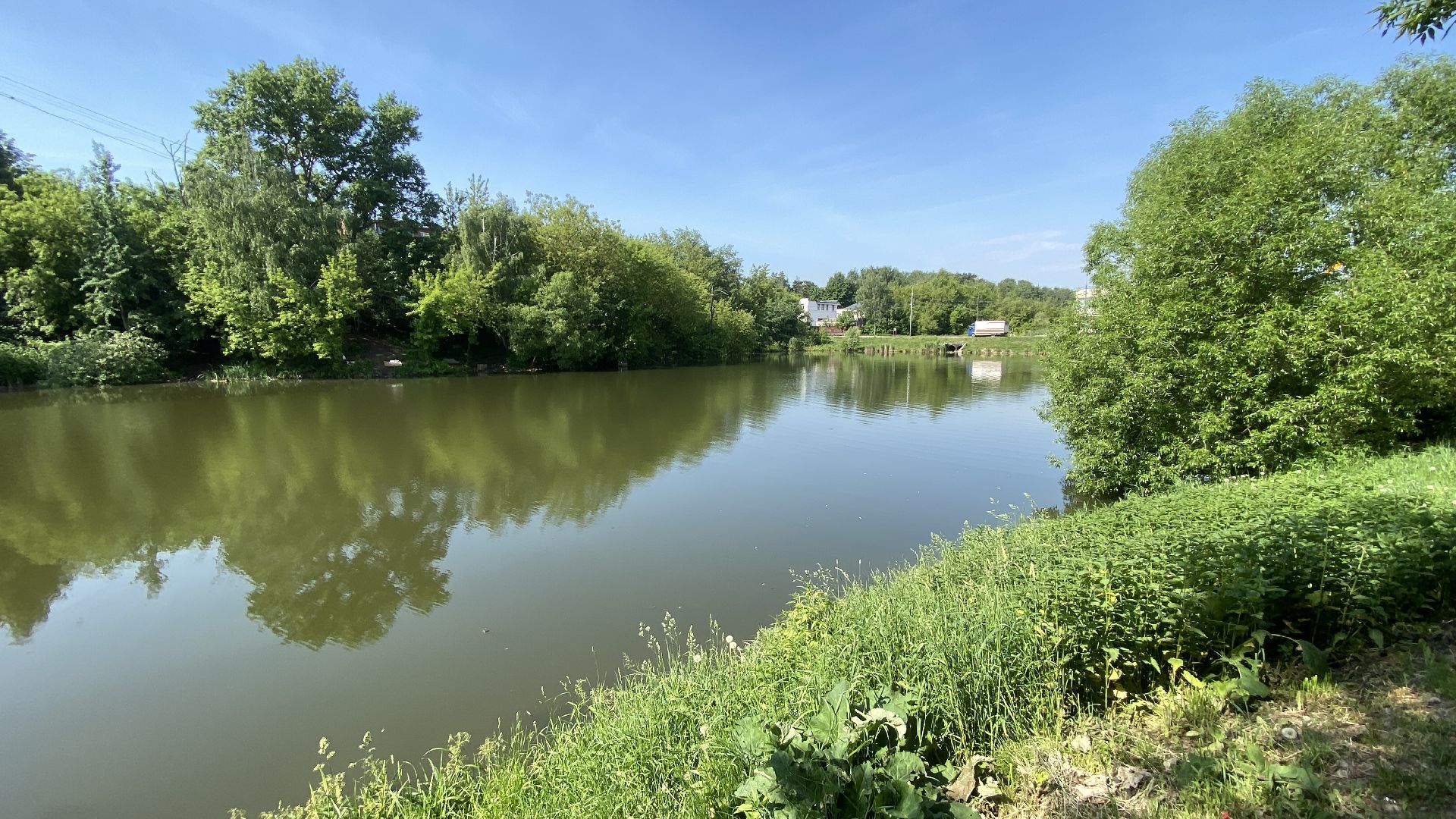 Тарычевский пруд, благоустройство, ленинский городской округ, экология, территория отдыха,