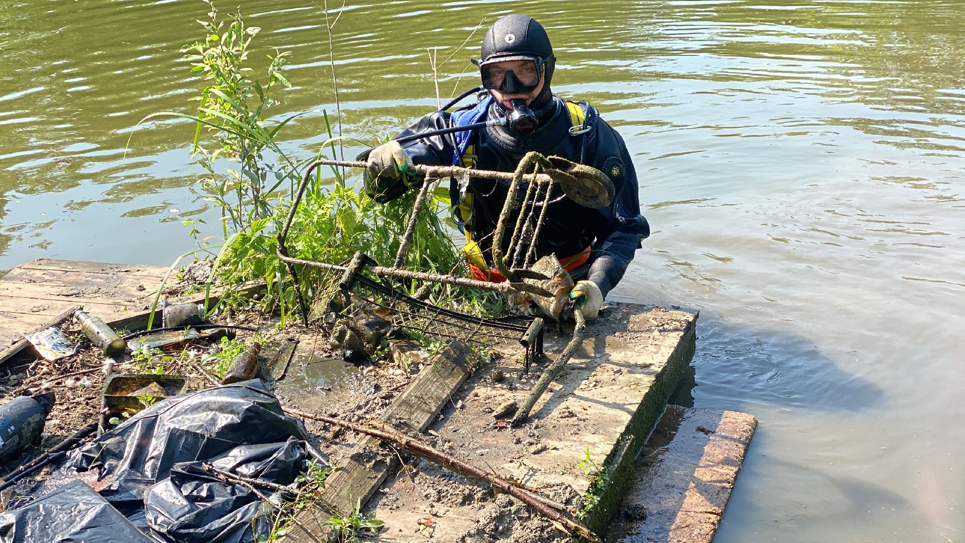 Тарычевский пруд, благоустройство, ленинский городской округ, экология, территория отдыха,