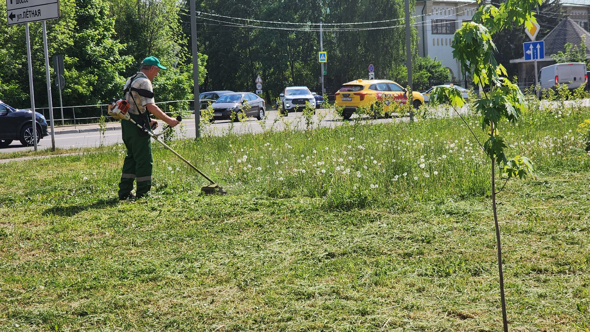 долгопрудный, покос травы,благоустройство, бульвар умберто нобиле,