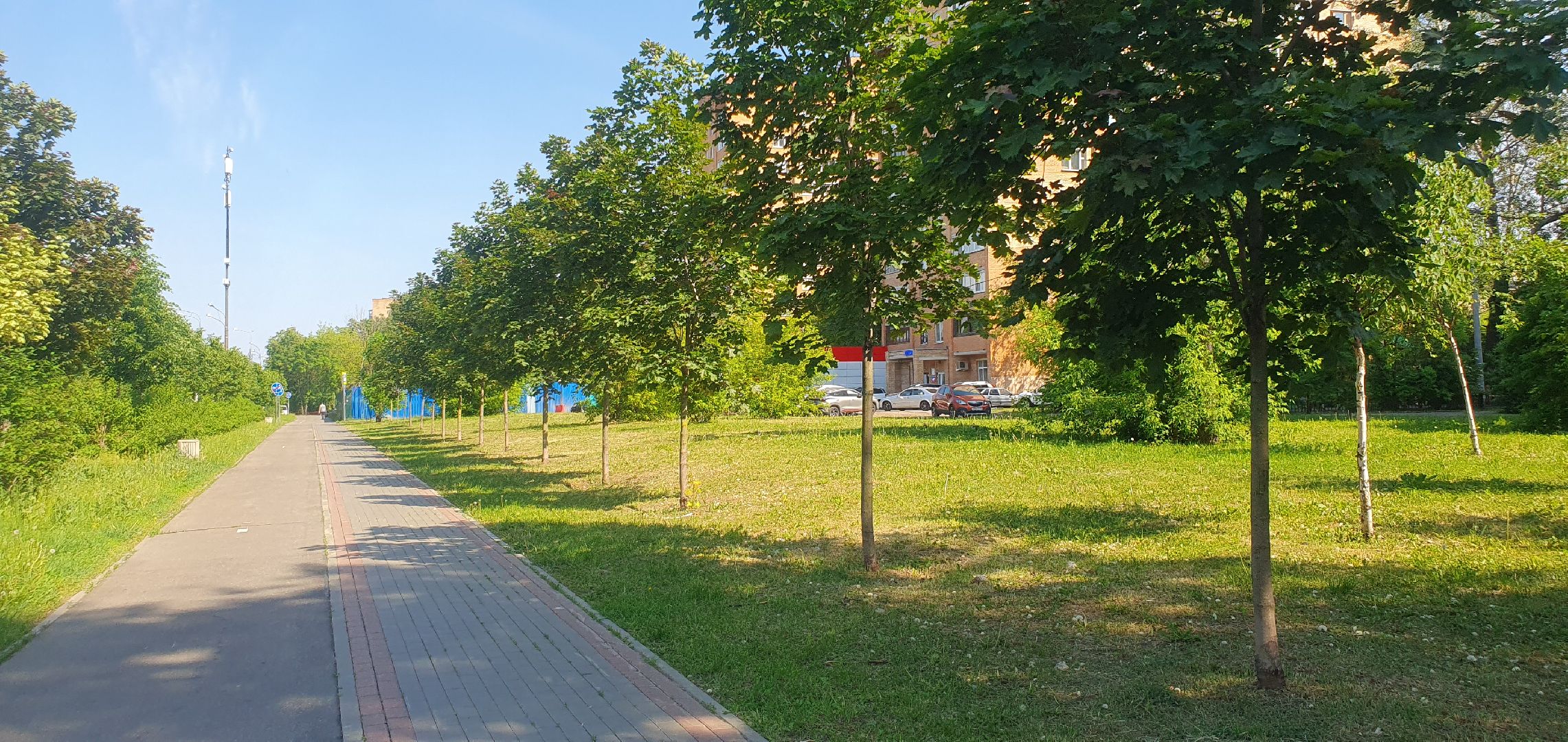 благоуйстройство, мытищи,