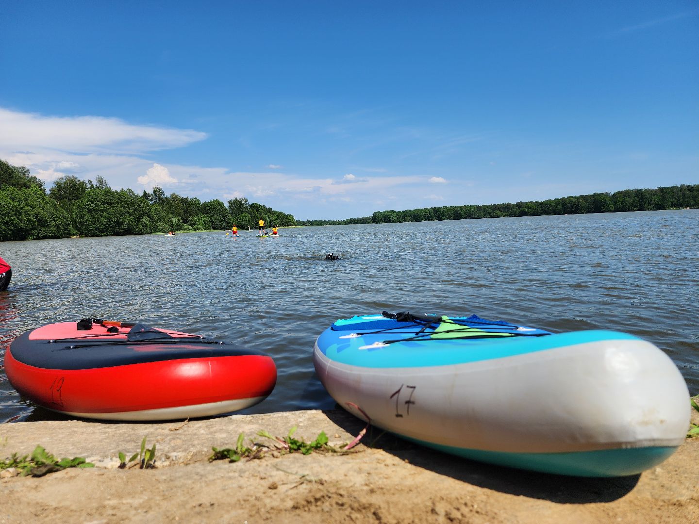 сапборд, сапсерфинг, озеро Бисерово, Богородский городской округ,