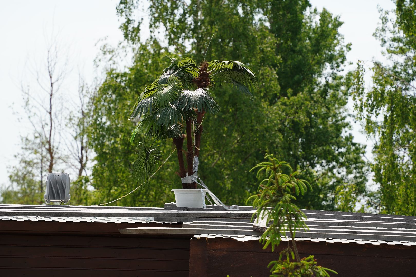 Рошаль, озеро Юбилейное, пляж, летнее кафе, Большая Шатура,