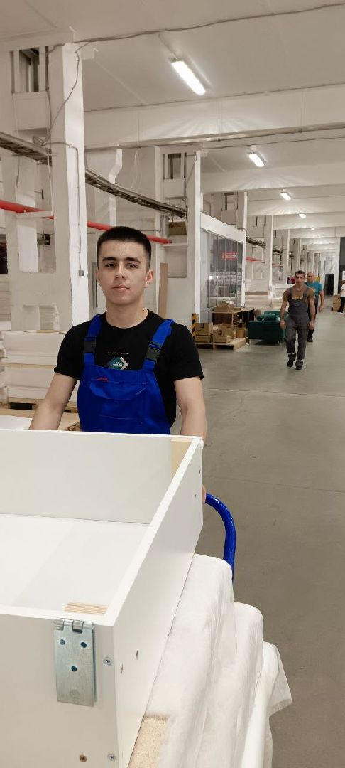 Дмитров, Дмитровский мебельный комбинат,