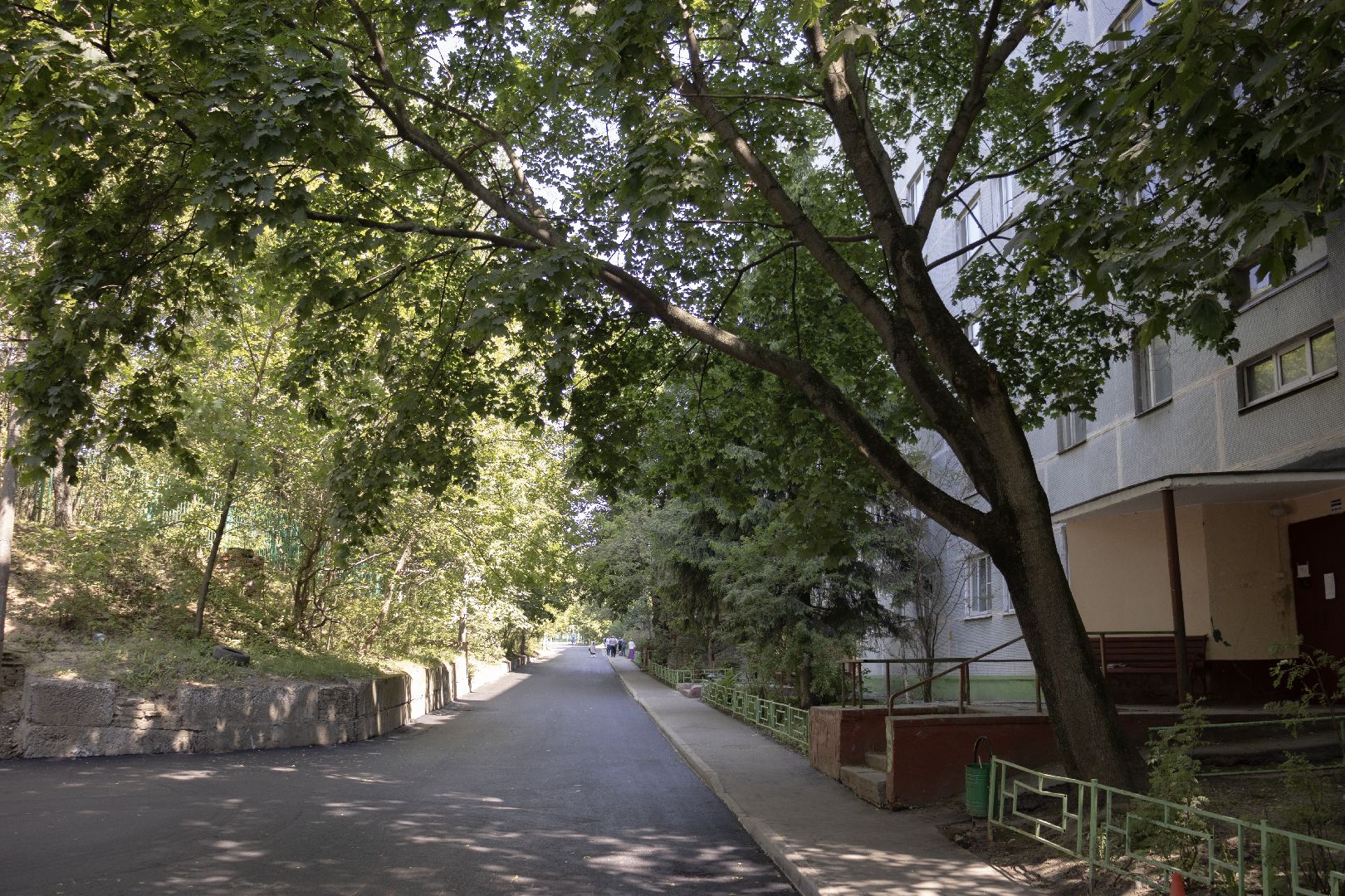 дзержинский, жкх и благоустройство, томилинская, лесная, асфальтирование дорог, андроник пак, никита иванов,