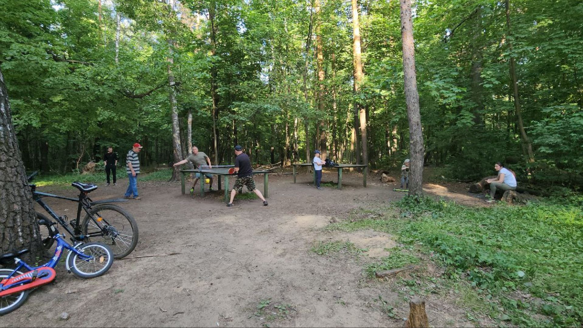 люберцы, Томилинский лесопарк, дзержинский, выездная администрация, жители,