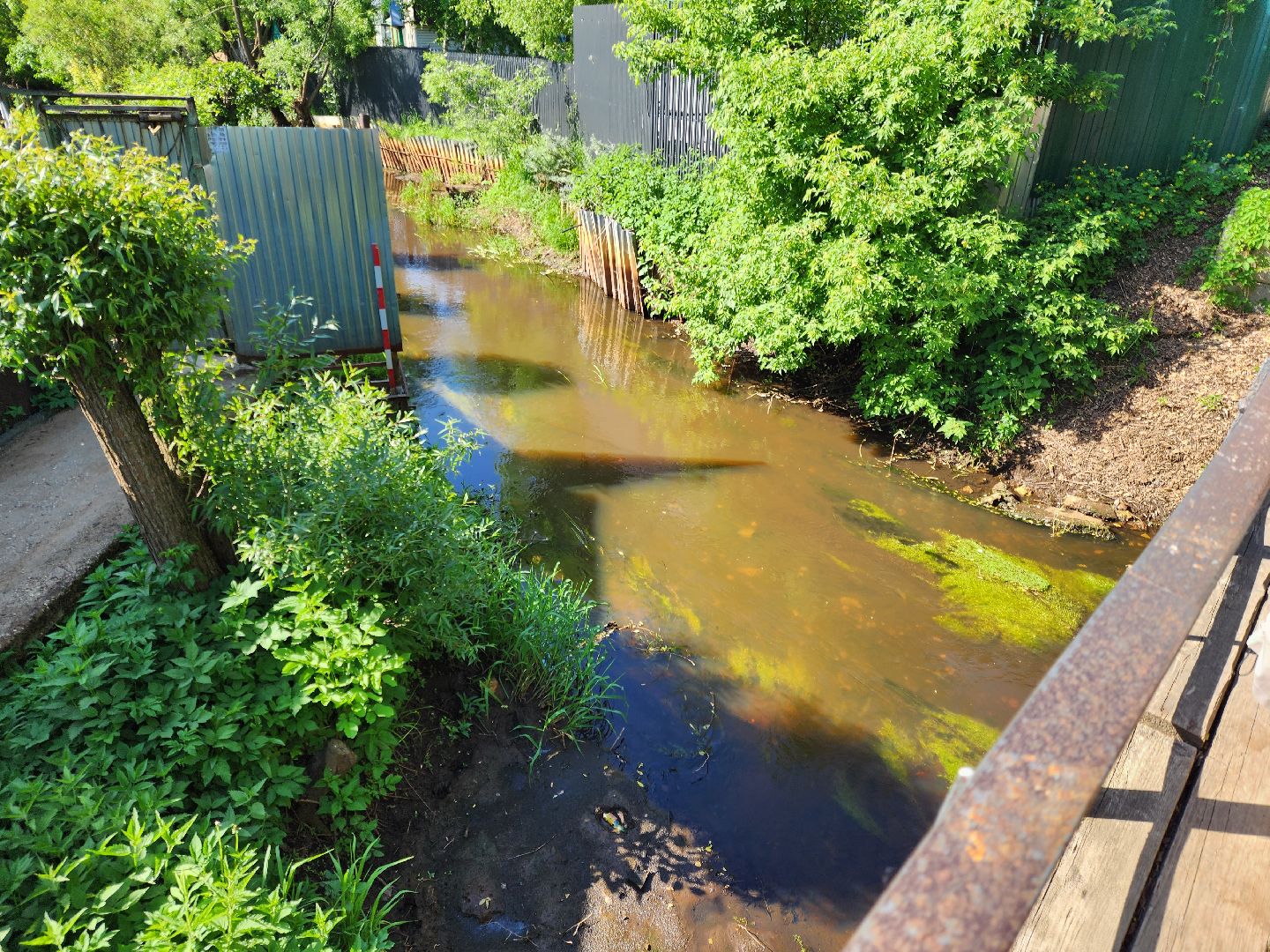 Ногинск, богородский городский округ, Общество, Жители, подтопление, Снт,